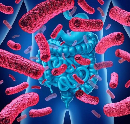 https://medecine-microbiotique.com