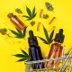 Le magasin Green Spot, le cbd shop de Bordeaux !
